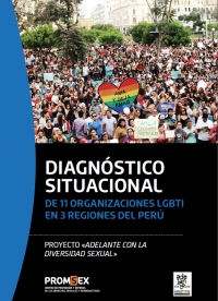 Diagnóstico situacional de 11 organizaciones LGBTI en 3 regiones del Perú  width=
