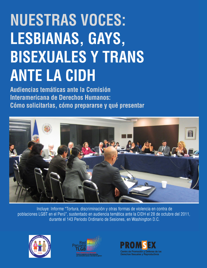 Nuestras voces: lesbianas, gays, bisexuales y trans ante la CIDH.  width=