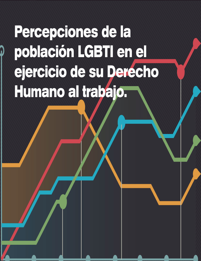 Percepciones de la población LGBTI en el ejercicio de su derecho humano al trabajo.  width=