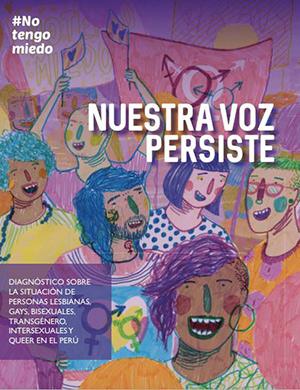 Nuestra Voz Persiste: Diagnóstico de la situación de personas lesbianas, gays, bisexuales, transgénero, intersexuales y queer en el Perú  width=