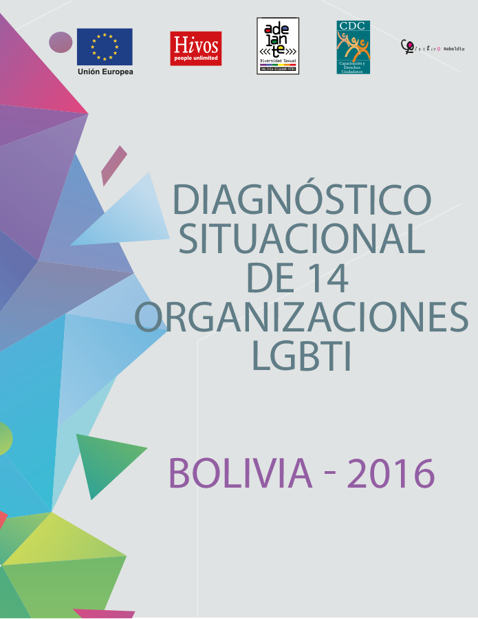Diagnóstico Situacional de 14 Organizaciones LGBTI en Bolivia 2016  width=