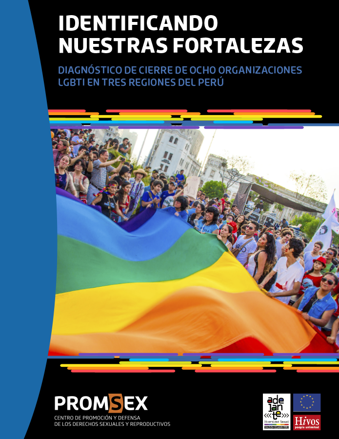 Diagnóstico situacional de 8 organizaciones LGBTI de 3 regiones del Perú  width=