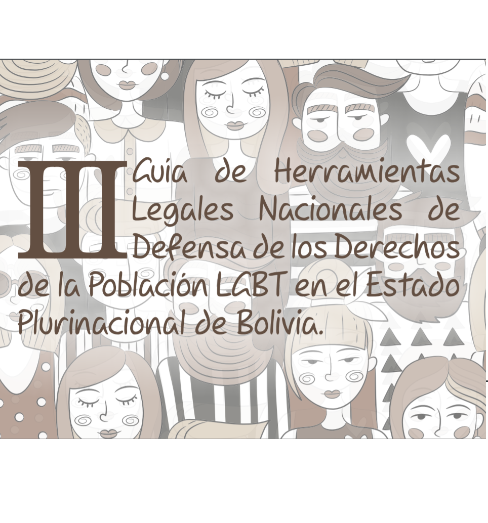 III Guía de Herramientas Legales de Defensa de los Derechos de la Población LGBT en el Estado Plurinacional de Bolivia  width=